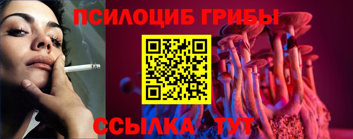 Кохма  Псилоцибиновые грибы Psilocybine cubensis  Вход с VPN 